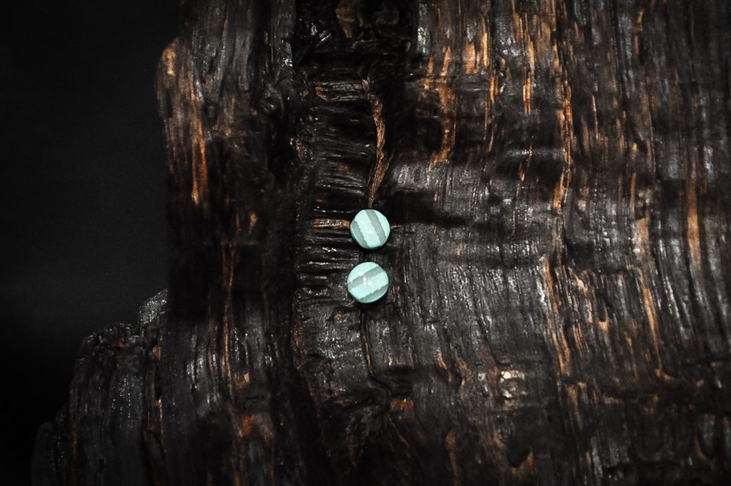 Sweet Simplicity - Blueberry Fizz Stripe - Stud Earrings